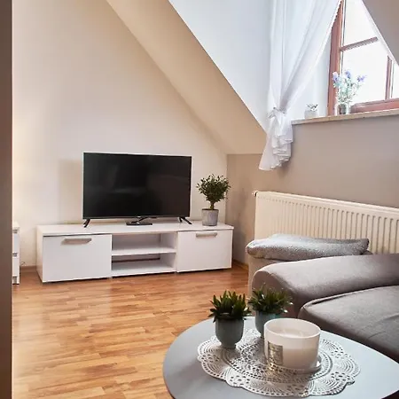 公寓式酒店 Kosowka - *