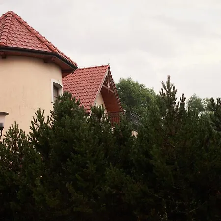 Kosówka -