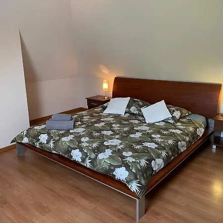 公寓式酒店 Kosowka - Frydman